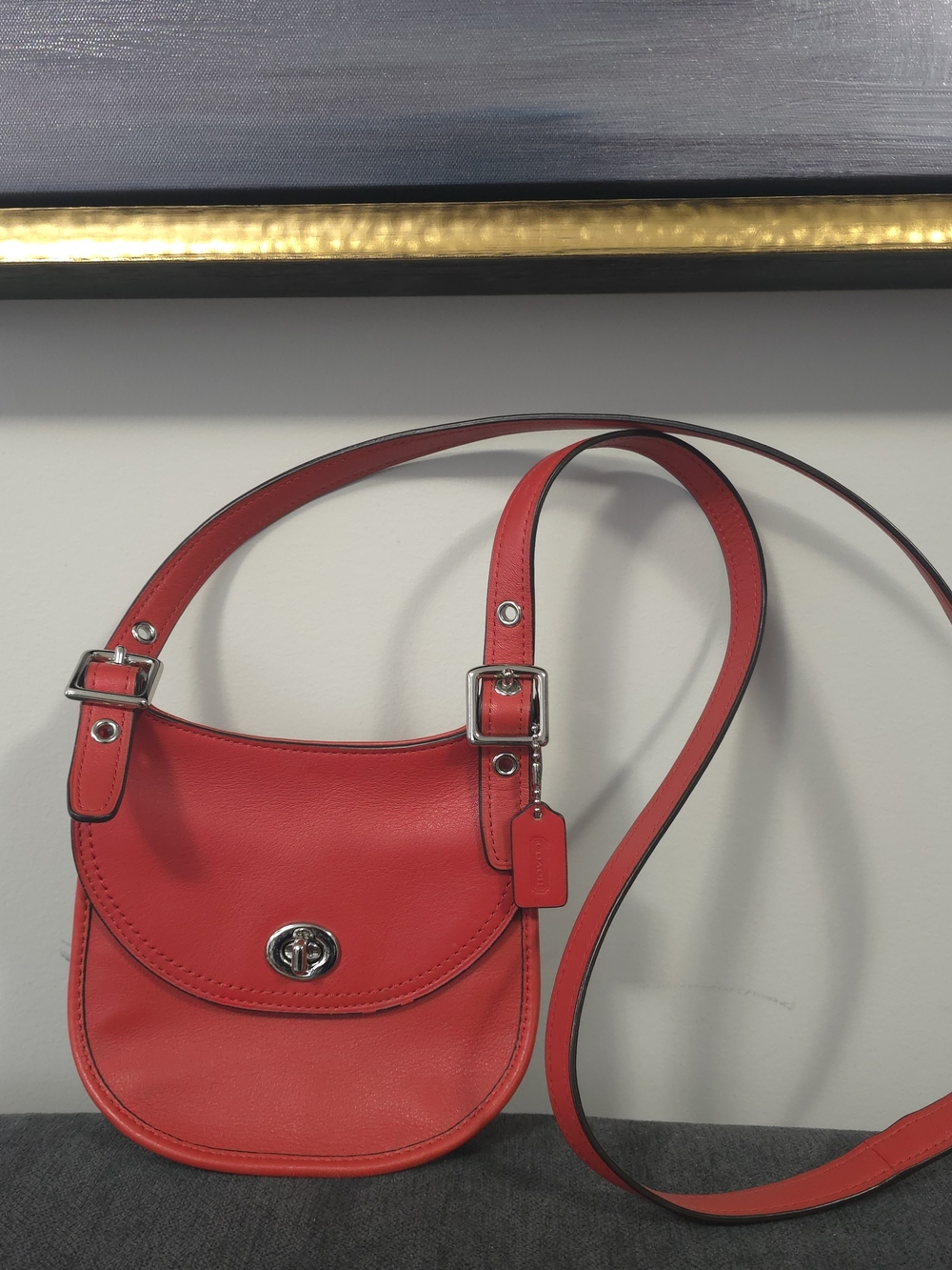 Coach Mini Crossbody Saddle Bag